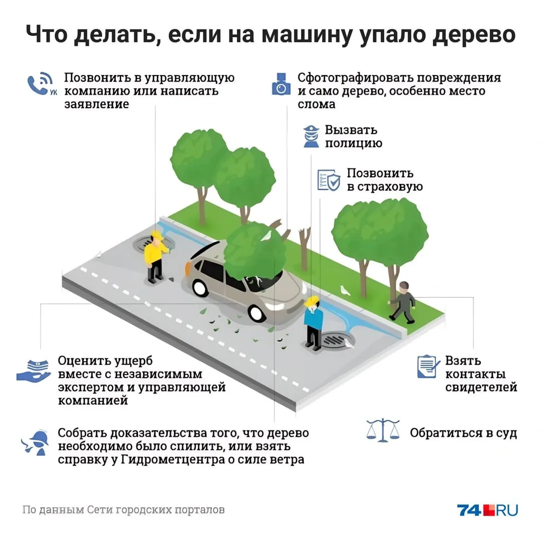 Пошаговая инструкция: когда ущерб признают форс‑мажором и покрывает только КАСКО, в каких случаях можно взыскать деньги с владельцев конструкций или управляющей компании и какие доказательства собрать.