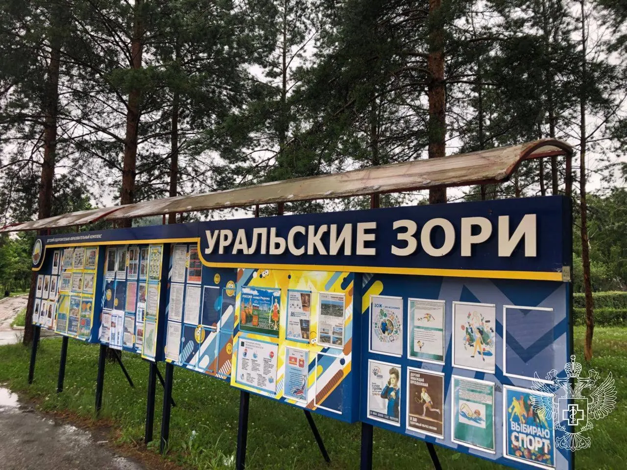 В детском форуме на озере Банное у части участников появились симптомы кишечной инфекции и ОРВИ. Власти сообщают о пятерых заболевших, организована изоляция и медицинская помощь.