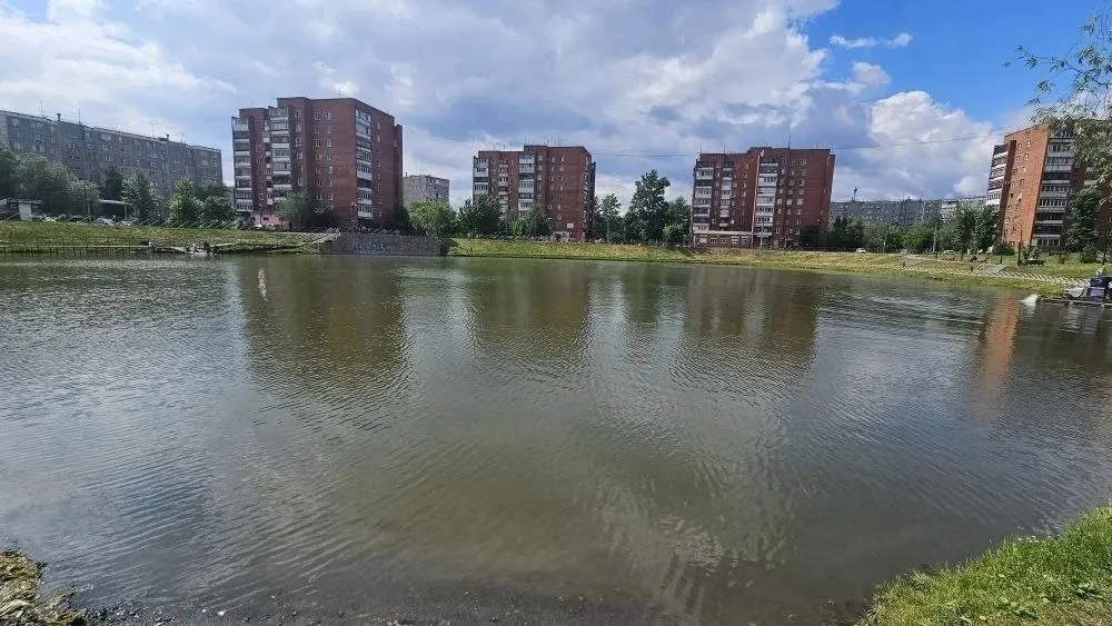 После жалоб жителей коммунальные службы убрали мусор и скосили водоросли на пруду, оставив приспособления для уток; рядом ждут ремонта скейт‑парка.
