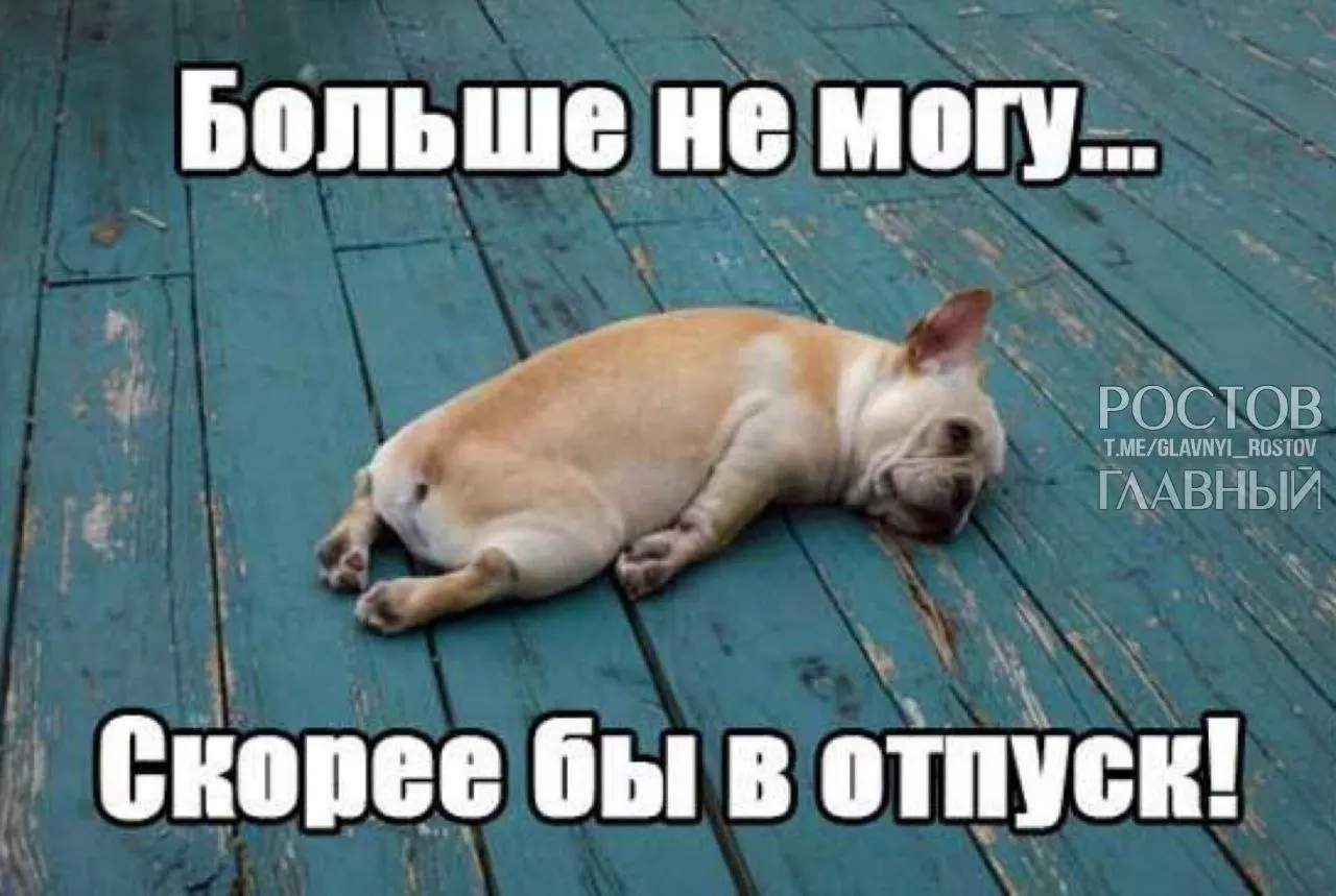 Депутаты предлагают повысить минимальный минимум отпуска с 28 до 35 дней, чтобы компенсировать входящие в отпуск выходные и снизить риск профессионального выгорания.