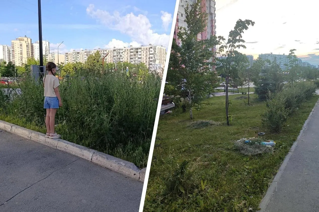 В челябинском сквере на 40-летия Победы коммунальщики убрали большую траву, однако скошенную растительность оставили кучами прямо на газонах — об этом сообщили местные жители.