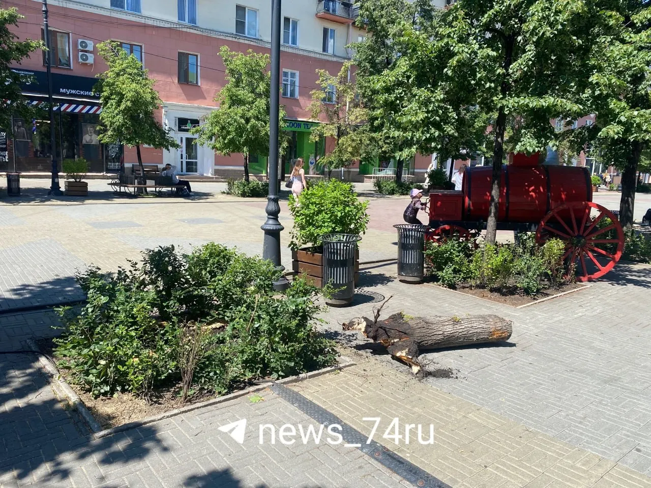 На пешеходной улице Кировки в Челябинске по разрешению администрации срубили четыре сухостоя. На их месте временно останутся пустоты; новые липы планируют высадить осенью.
