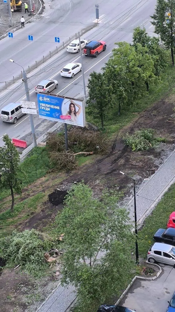 В Челябинске при капитальном ремонте улицы планируют удалить 119 взрослых деревьев. Власти говорят, что вырубка предусмотрена проектом, подрядчик выплатил компенсацию в бюджет, но жители выражают обеспокоенность потерей тени и зелёного облика улицы.