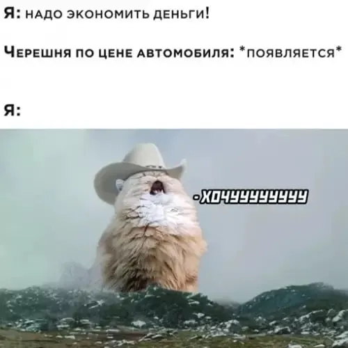 Мы обошли супермаркеты и рынки Челябинска: килограмм черешни сейчас продают примерно от 500 до 900 рублей — всё зависит от места, сорта и качества.