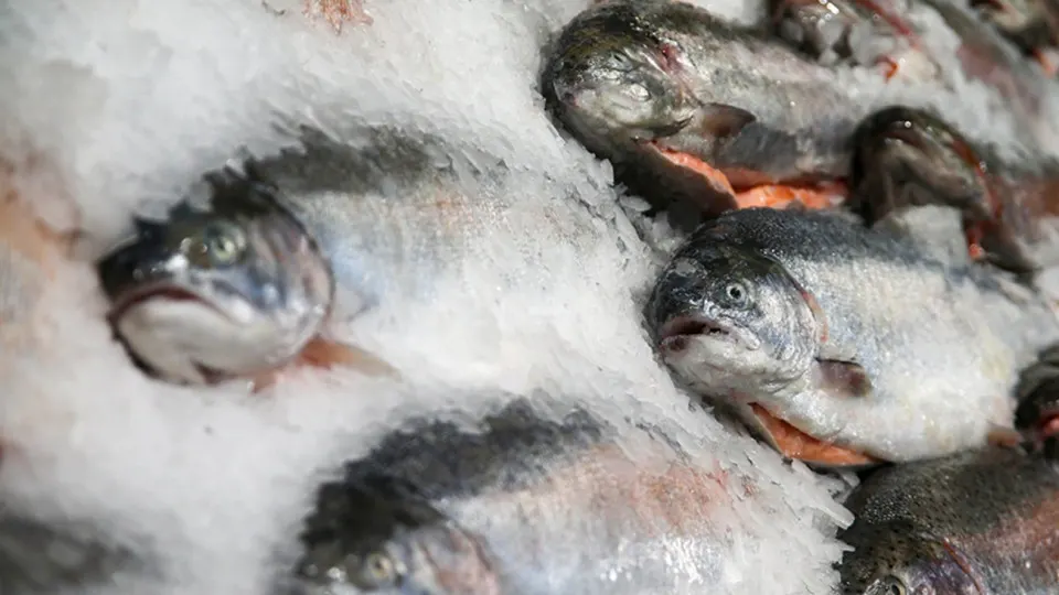Россельхознадзор приостановил сертификацию продукции двух армянских компаний и ввёл запрет на их поставки в Россию на фоне политических событий в Армении и начала финансовой помощи со стороны ЕС.
