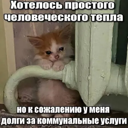 ВС указал, что пропущенный трёхлетний срок исковой давности препятствует принудительному взысканию долгов за капремонт; это актуально для покупателей вторичного жилья и наследников.