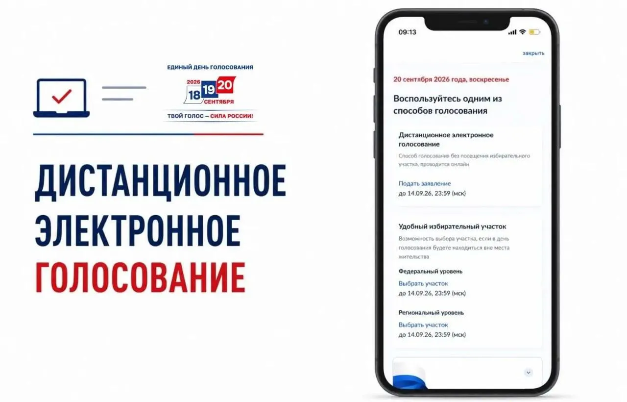 Официальный старт приема заявлений на дистанционное электронное голосование через госуслуги; в тексте даются критические замечания о прозрачности системы и рисках манипуляций.