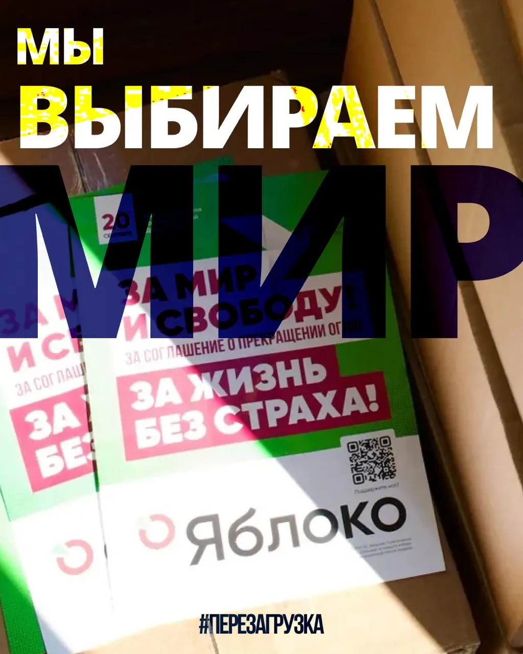 В 53 регионах продолжается кампания 135 кандидатов от партии. По карте можно выбрать свой регион и найти кандидатов «за мир и свободу».