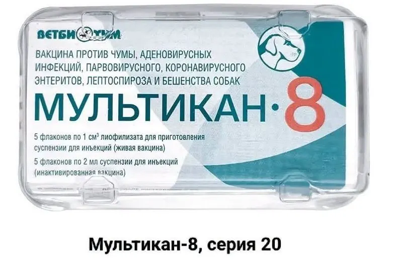 Владельцы погибших собак обратились к блогерам и журналистам с требованием открытого расследования и независимых анализов по делу вакцины «Мультикан-8».