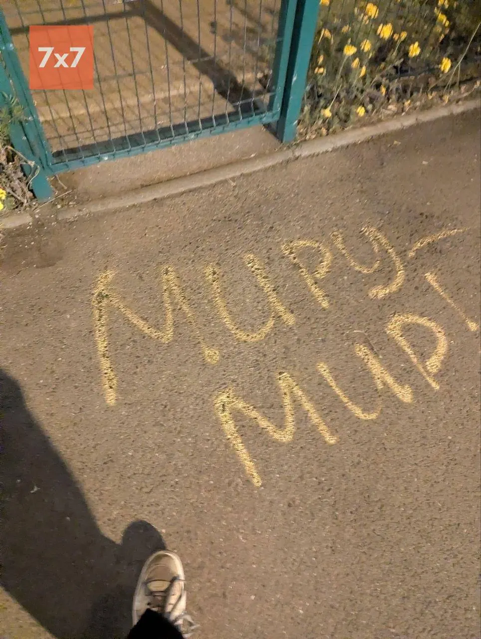 На бюллетенях родственники военнослужащих оставляли призывы к миру и возвращению мужчин домой — подобные послания фиксируются в нескольких регионах; за ними следят правоохранительные органы, фиксируются задержания и штрафы.