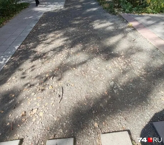 Администрация Курчатовского района расторнула договор с подрядчиком; участок закрыт до окончания экспертизы и решения суда.