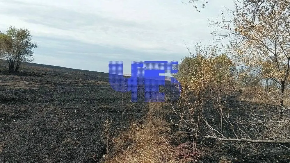 В Кизильском районе Челябинской области произошёл крупный пожар: выгорело сотни гектаров урожая, ущерб оценивается в миллионы рублей; поиск виновных продолжается.