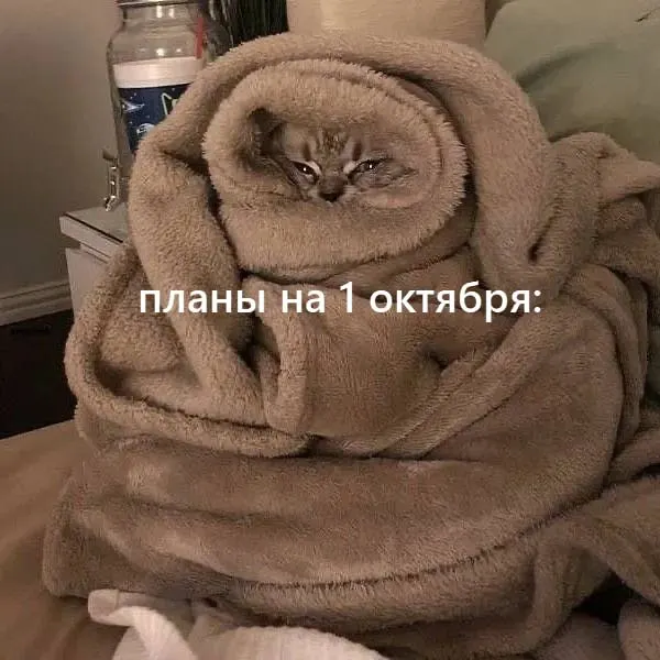 Снег и дождь приходят в регион; во вторник температура поднимется до +19°.