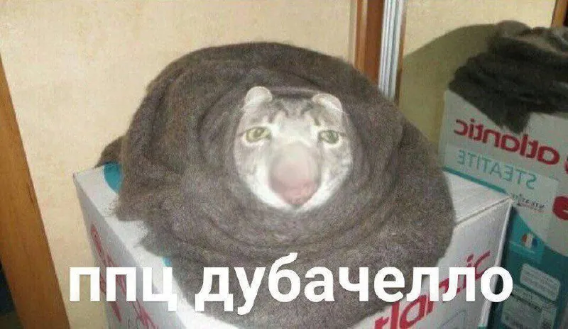 С начала отопительного сезона тепло начнут подавать в Кусинском районе: 15 сентября — в детсады, школы и соцучреждения, затем — в жилой сектор; 16 сентября тепло придет в Озерск, пока только в соцучреждениях. В остальных городах региона сроки пока не уточняются.