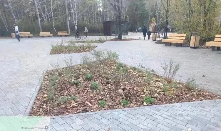 Власти сообщили, что подрядчик устраняет недочеты; высаженные весной растения будут обследованы, при гибели их заменят по гарантии.