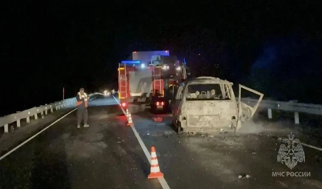 На трассе под Тобольском микроавтобус врезался в колонну транспорта, автомобиль загорелся. Погибли семь человек, в том числе пассажиры из Челябинской области; двое получили ранения.