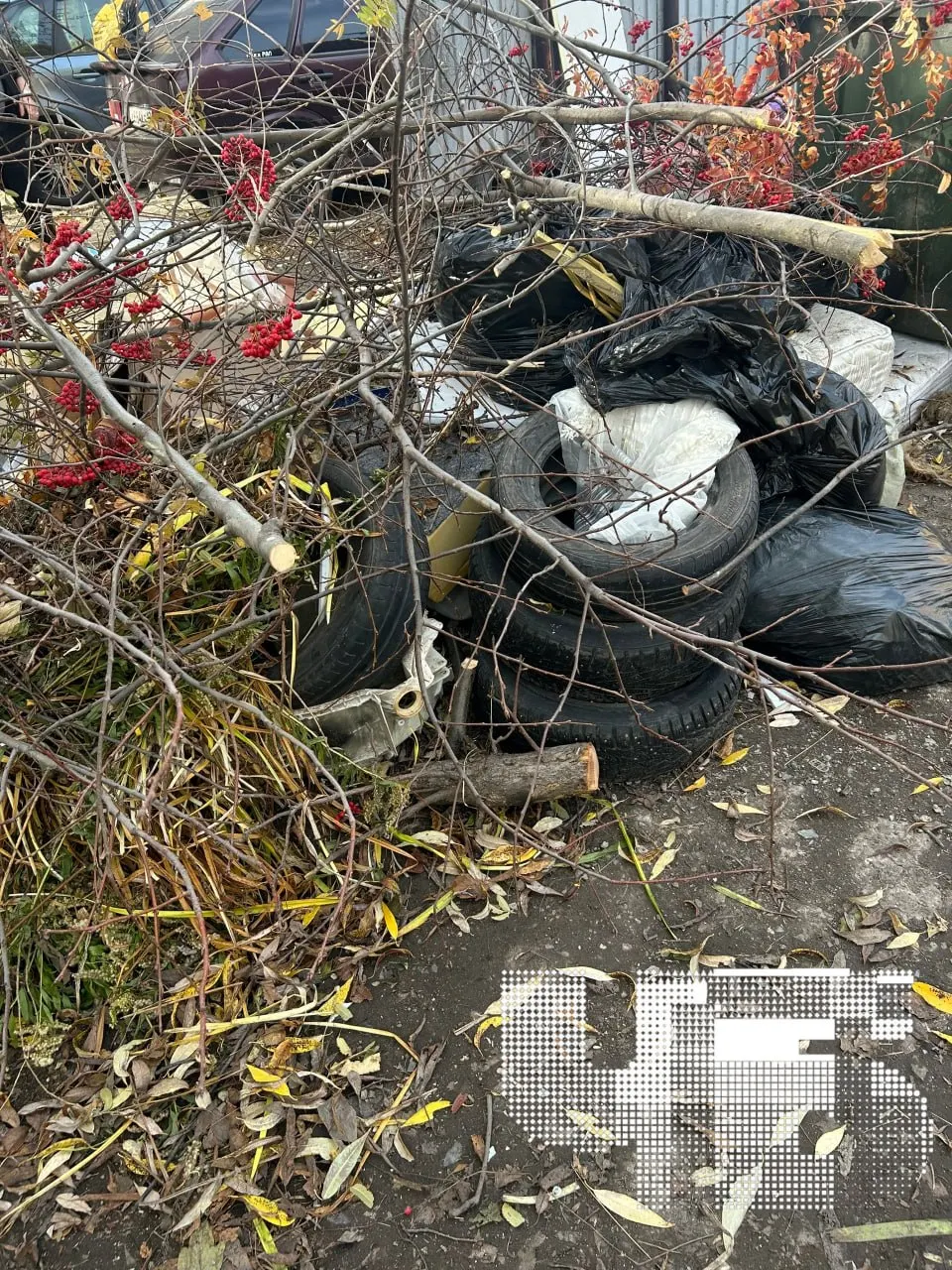 Жители Октябрьского жалуются на накопившийся мусор: вывоз прекращён после выборов, квитанции продолжают начисляться.