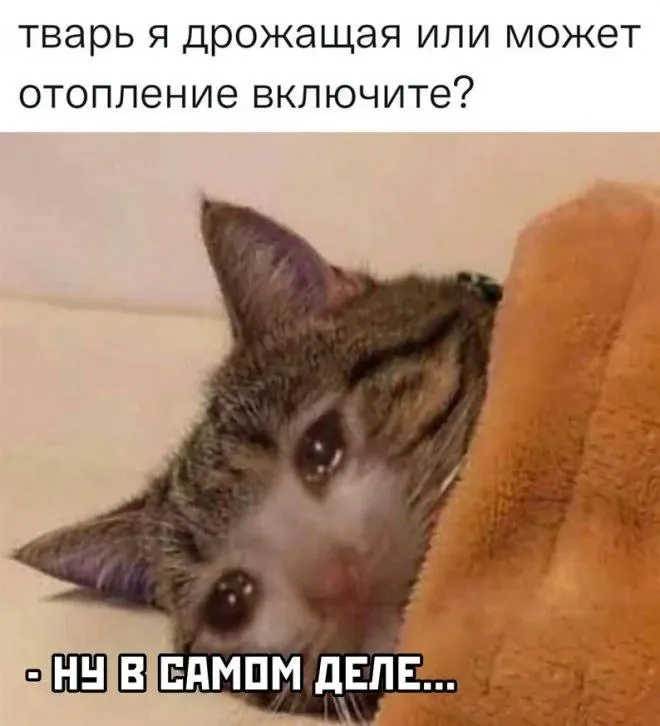 Жители Челябинска жалуются на холод в квартирах и учебных заведениях: отопление приходит с задержками, проблемы отмечены в Ленинском районе и на Сельмаше.