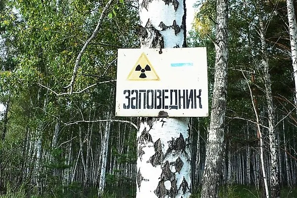 После радиационной катастрофы в Кыштыме в Челябинской области был создан Восточно-Уральский государственный заповедник. Это территория размером около 16,6 тыс. гектаров, где изучают влияние радиации на природу и сохраняются экосистемы.